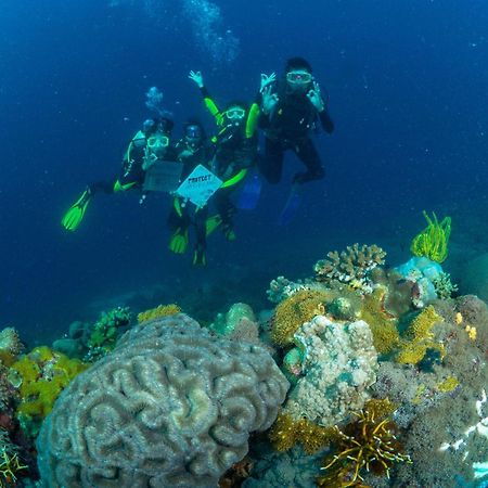Liberty'S Lodge And Diving - Apo Island Dumaguete City Eksteriør bilde