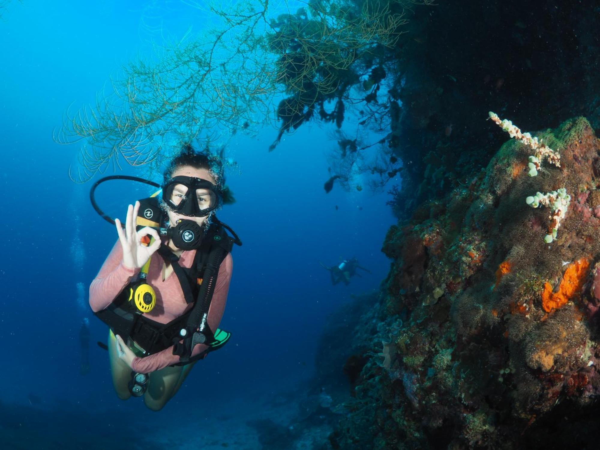 Liberty'S Lodge And Diving - Apo Island Dumaguete City Eksteriør bilde