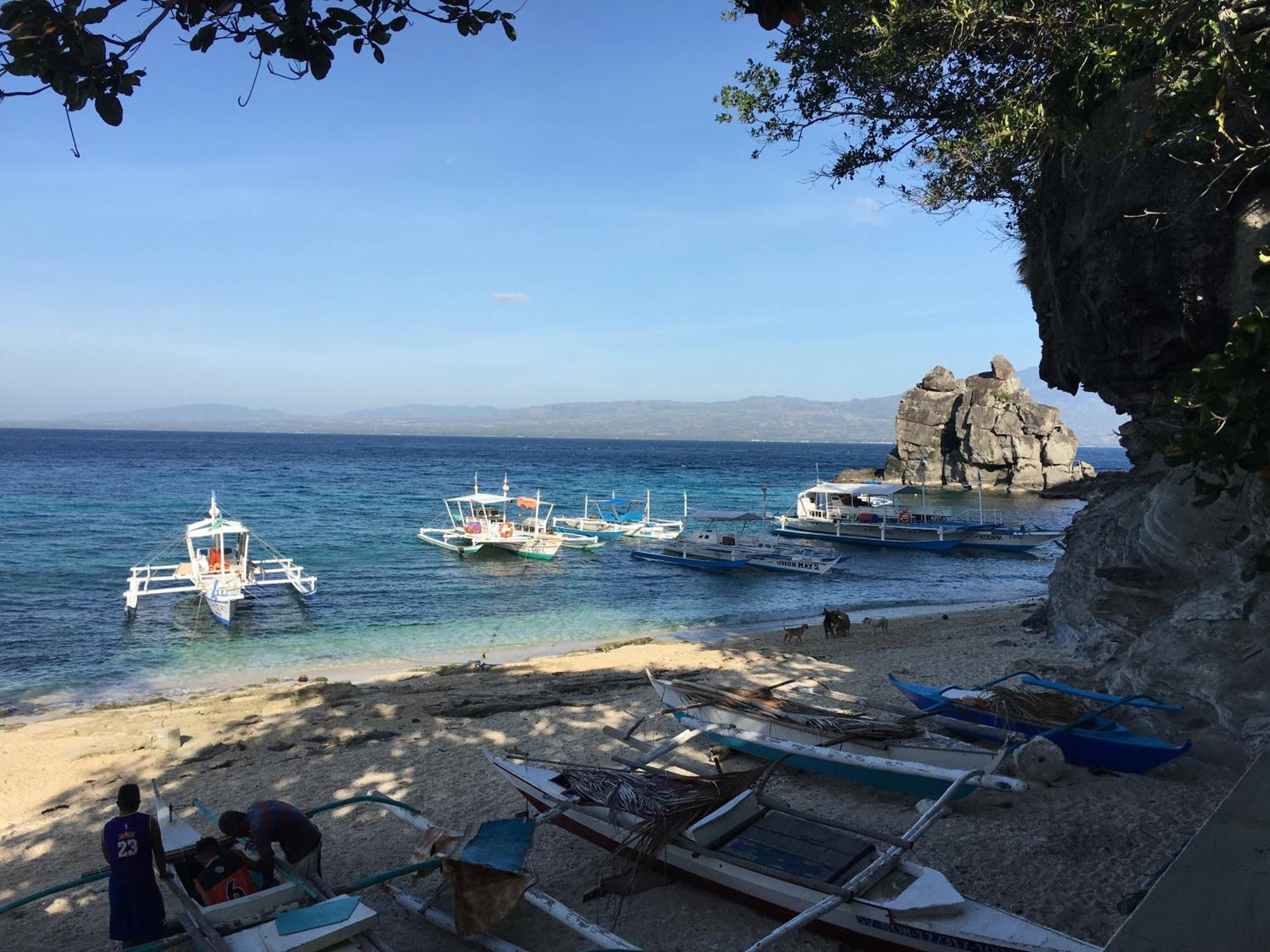 Liberty'S Lodge And Diving - Apo Island Dumaguete City Eksteriør bilde